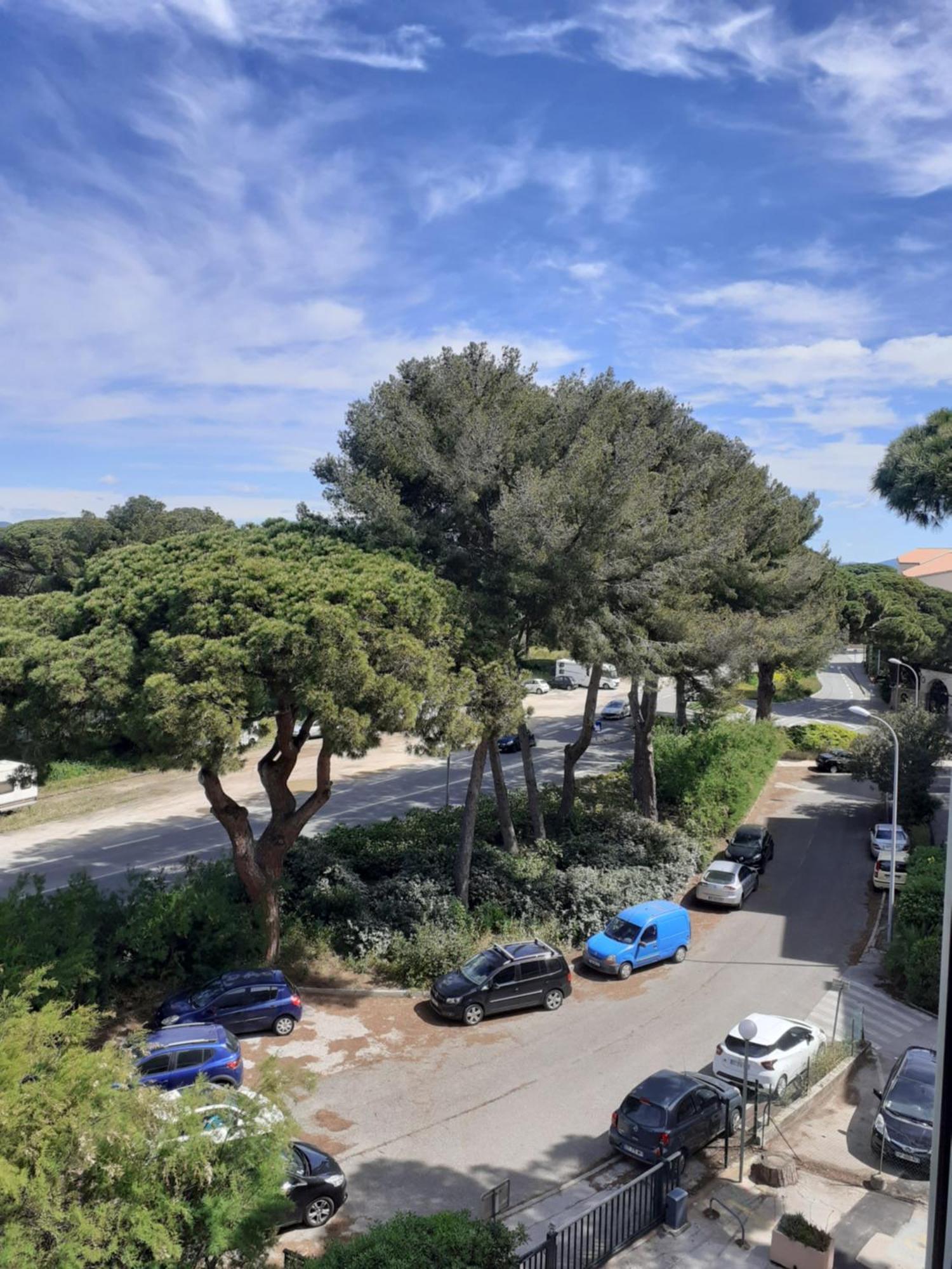Studio Hyeres Port Et Iles D'Or. Exteriör bild